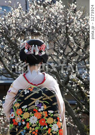 「舞妓さんの後ろ姿」の写真素材 「舞妓さんの後ろ姿」の写真素材