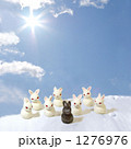 雪山ウサギ2