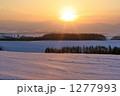 雪原の夜明け
