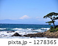 三浦半島