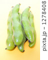 春野菜のソラマメ。