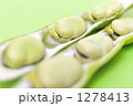 春野菜のソラマメ。