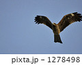 1278498