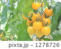 1278726