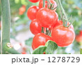 1278729