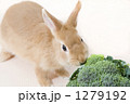 1279192