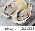 生牡蛎