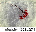 ななかまど01 一枝雪の上