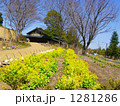 里山の春