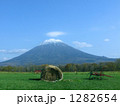 1282654