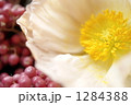 1284388
