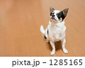1285165