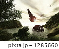 素材ナンバー 1285660 : 「幻想世界（明日へ向って）」