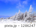 1286247