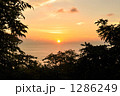 1286249
