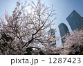 1287423