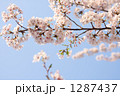 1287437