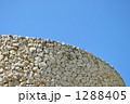琉球石灰岩の壁