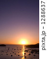 1288637
