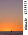 1288675