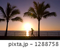 1288758