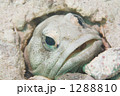 1288810