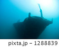 1288839