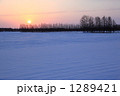 1289421