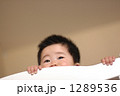 ベッドから顔を出す