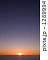 1289994