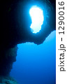 1290016