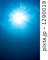 1290019