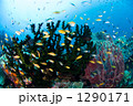1290171