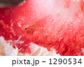 1290534