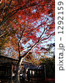 高尾山の紅葉９