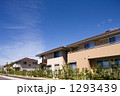 新興住宅地