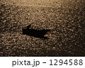 1294588