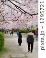 桜並木