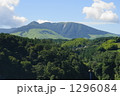 原生林の山