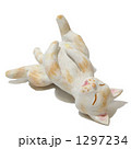 仰向け猫