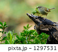 うぐいす