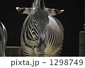 シマウマ