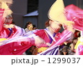 土佐の夏　よさこい祭り
