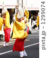 土佐の夏　よさこい祭り