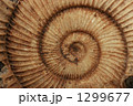 1299677