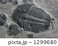 1299680
