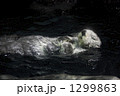 1299863