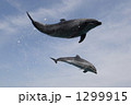 1299915