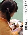 1302466