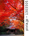 紅葉の平泉・中尊寺